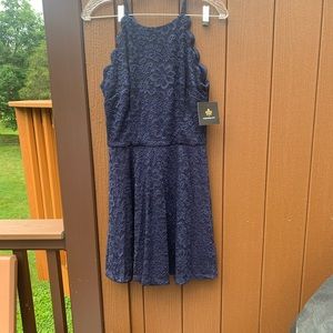 Stitch Fix Fortune and Ivy Dress. Small
